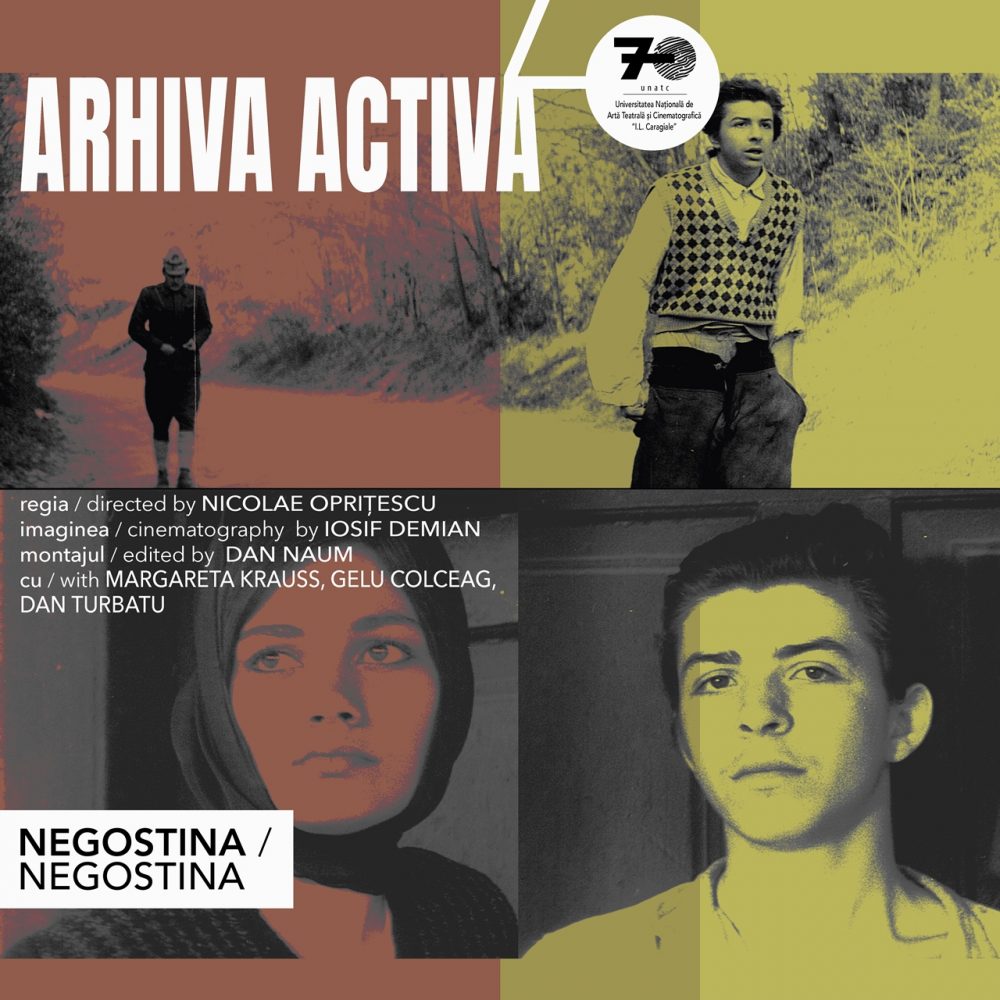 negostina
