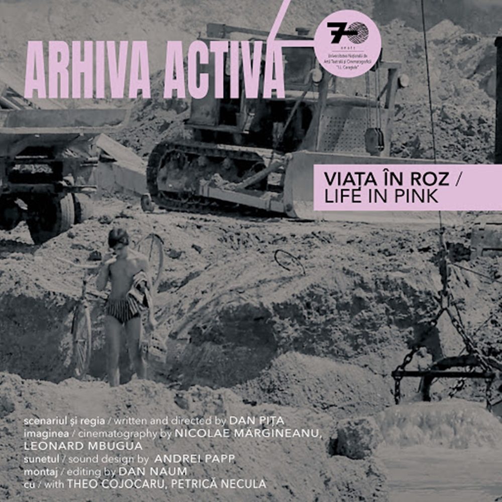 viata in roz